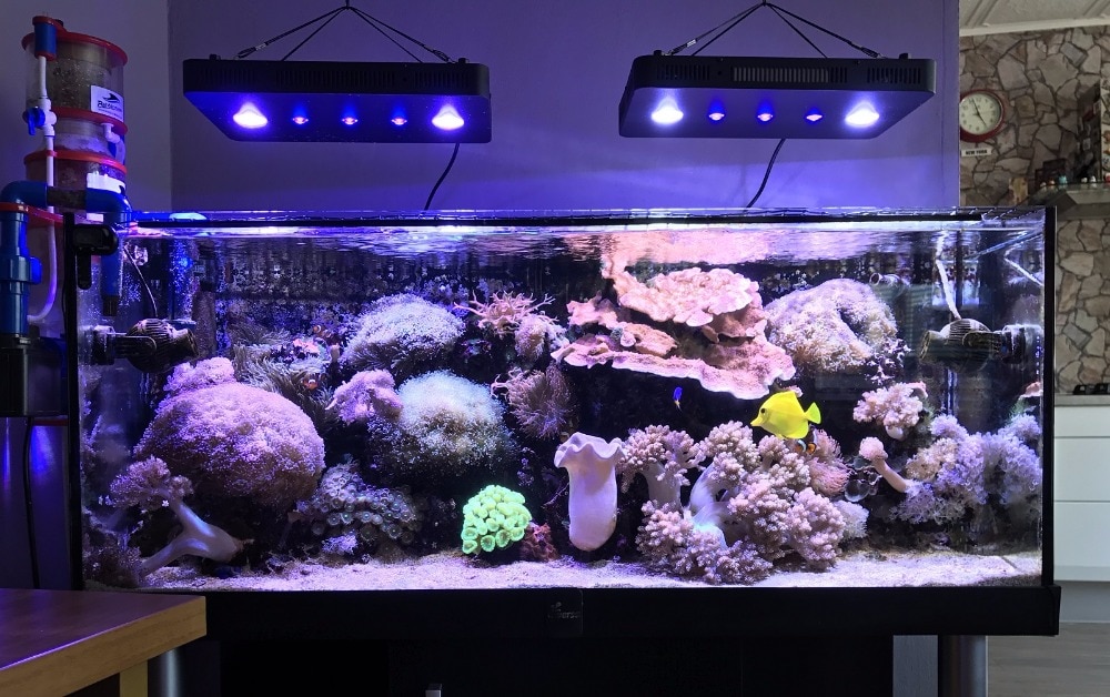 small led fish tank light